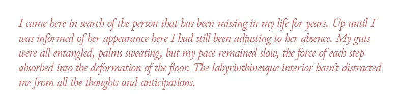 external view of the soft building